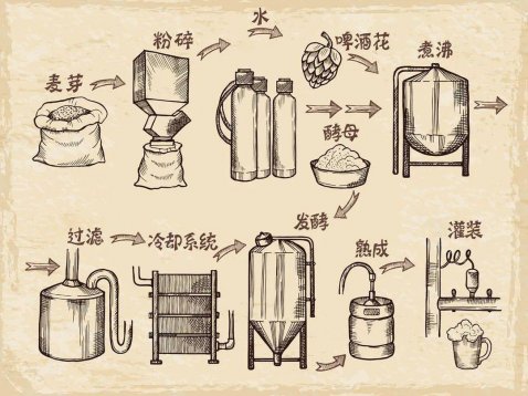 關(guān)于啤酒的知識(shí)，看這一文就夠了